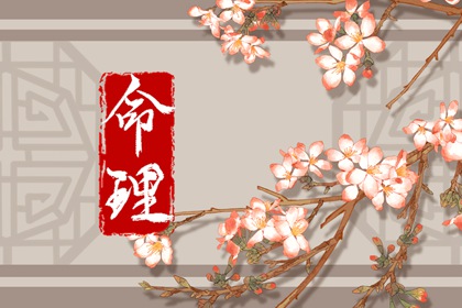 黄历网,老黄历黄道吉日,黄历网2026年